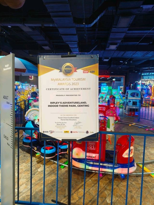 Where Curiosity Meets Entertainment