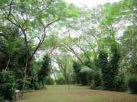 เชื่อมต่อธรรมชาติที่โรงแรมลำปาง ริเวอร์ ลอดจ์ 🌿