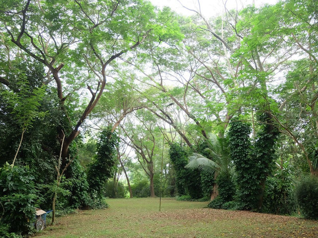 เชื่อมต่อธรรมชาติที่โรงแรมลำปาง ริเวอร์ ลอดจ์ 🌿