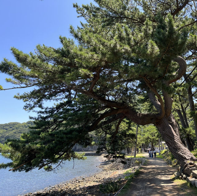 【友ヶ島】　🏝️和歌山