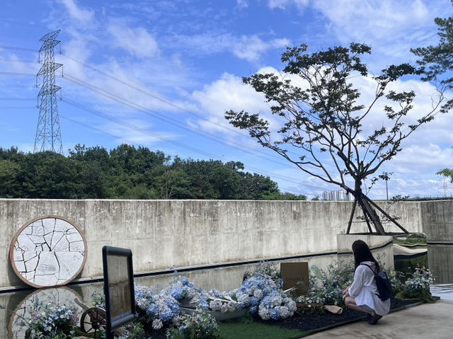완주 핫플 대형카페 디오니💖