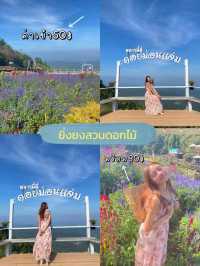 เที่ยวเชียงใหม่ เช่ารถพร้อมคนขับ 2คนตกคนละ750฿🚘💸