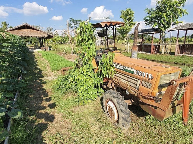 Exploring Bentong Ginger Farm: Pahang’s Spicy Agri-Tourism Gem