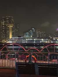 【⛴️洋紫荊維港遊體驗之夜🌊 ✨】