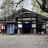 【秋田】武家屋敷通りが美しい桜の名所🌸