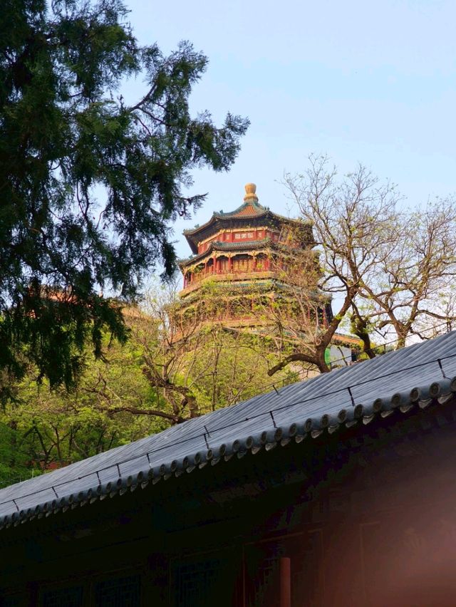 Summer Palace
