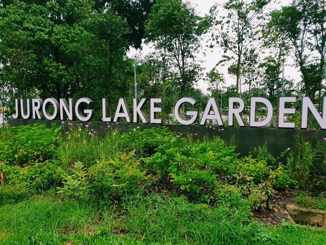 Jurong Lake Gardens: Singapore’s Hidden Green Gem!