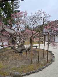 瑞巖寺-來到日本三景松島絕對不能錯過的國寶