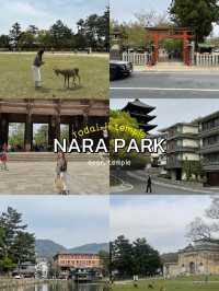 แพลนเที่ยวญี่ปุ่น 2024 Osaka 7 วัน 6 คืน🏯
