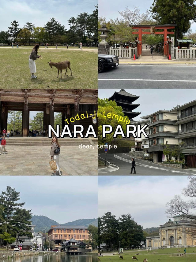 แพลนเที่ยวญี่ปุ่น 2024 Osaka 7 วัน 6 คืน🏯