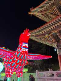 연등들이 밤하늘을 수놓는 삼광사 연등축제🏮