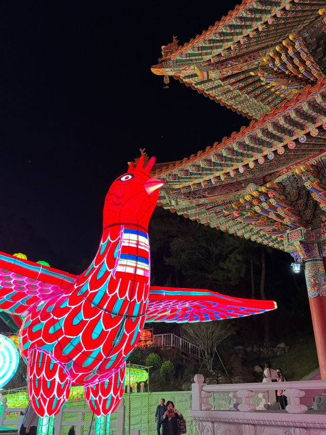 연등들이 밤하늘을 수놓는 삼광사 연등축제🏮