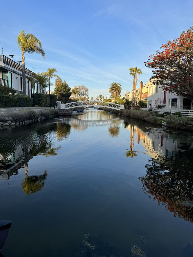 🛶 Venice Beach Canal, LA의 낭만적인 운하 산책!