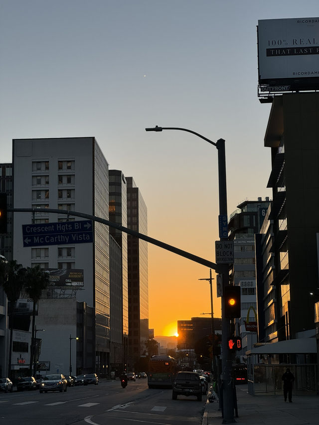 🌅 LA 선셋 명소, 석양의 낭만을 잡다! #LA여행