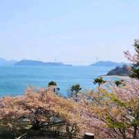 今治市の春の絶景を楽しもう