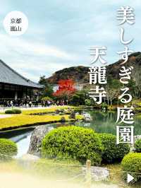 【京都🍁嵐山】一年中美しい庭園・天龍寺