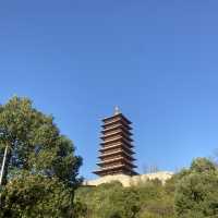 13-day Tour of Shanghai, Dezhou, Beijing, and More