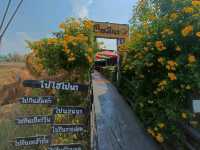 มีไฮ่มีนา บุรีรัมย์