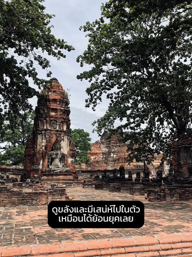 🧡พาเที่ยว "วัดมหาธาตุ" อุทธยานประวัติศาสตร์✨