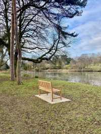 Unwind at Highfields Park