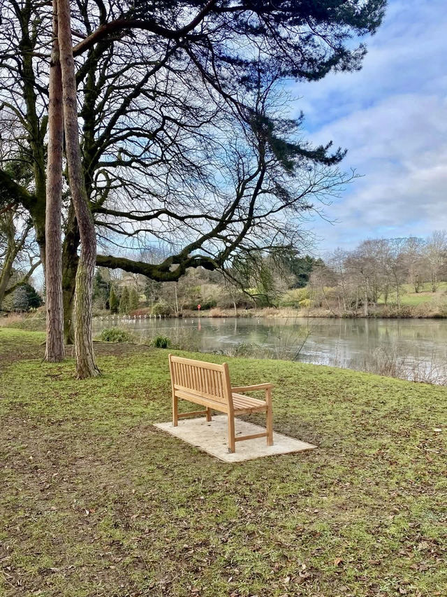 Unwind at Highfields Park