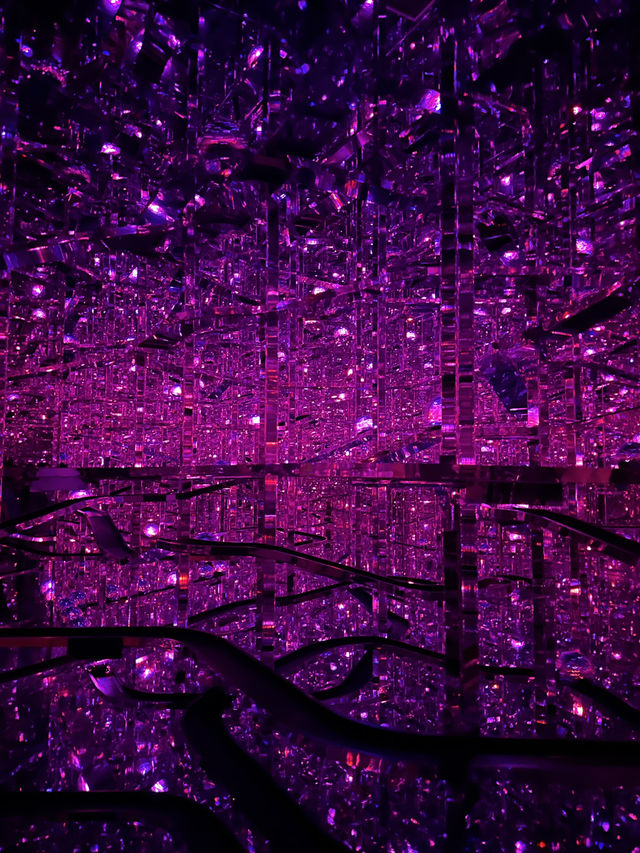 日本東京Teamlab Borderless