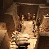 Where Terracotta Warriors Dance With Blossoms
