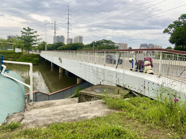 感受繁市中自然與建築藝術結合的魅力✨🌳蠔鄉湖公園🦪 ❤️