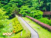 A Peaceful Getaway at Maninsan Forest Retreat