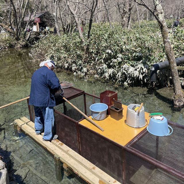 【長野】上高地に行ったら外せない必食グルメ🍚