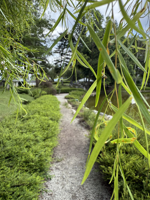 "Tranquility Redefined: The Japanese Garden, Ipoh"✨🍃