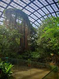 Batu Ferringhi 2D1N Itinerary: Nature and Beach Escape