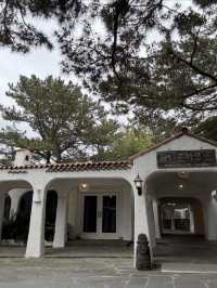 제주 감성 카페! 수리남의 촬영지 🌴허니문 하우스🌴