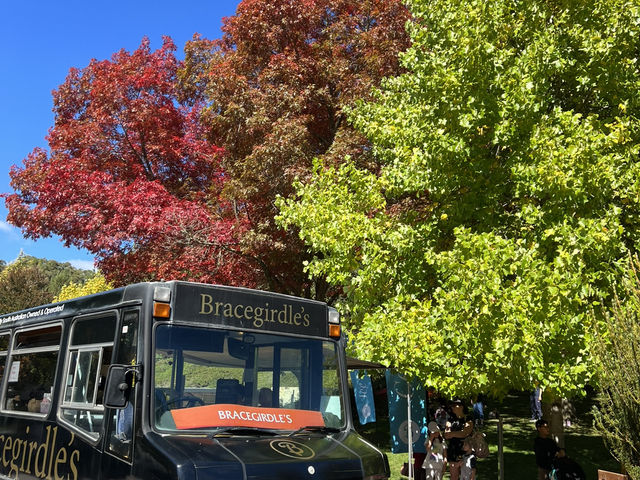 Adelaide 紅葉🍁秘景