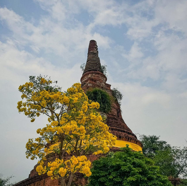  วัดสามวิหาร พระนอนองค์ใหญ่ อายุ 600 ปี