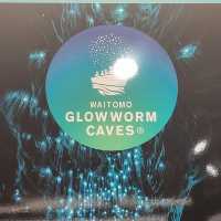 Waitomo Glowworm Caves – A Magical Underground Wonder 