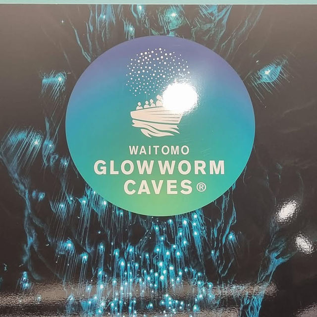 Waitomo Glowworm Caves – A Magical Underground Wonder 