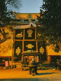 Spin and Soar: A Spring Evening at Guishan Park