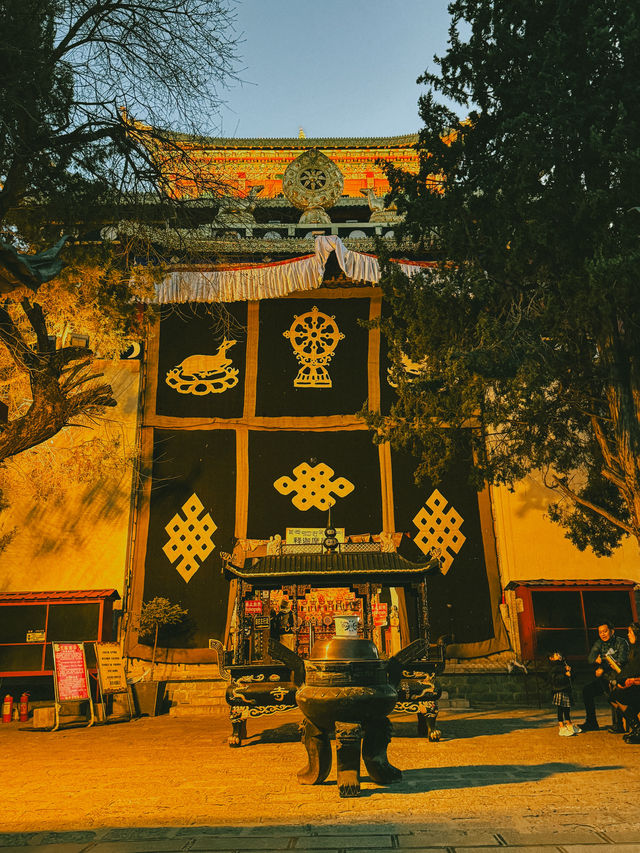 Spin and Soar: A Spring Evening at Guishan Park