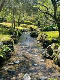 Strolling Through Serenity