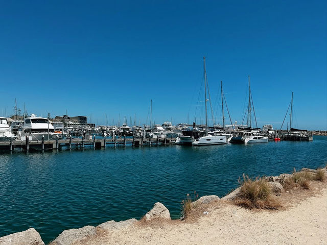 Bather's Beach in Perth