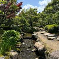 Spring Zen Mode