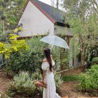 คาเฟ่บรรยากาศอบอุ่นที่เขาใหญ่ 🌳🌼