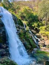 Nature’s Springtime Splash in Chiang Mai