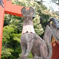 Fushimi Inari-taisha ,Kyoto