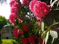 Our Trip to Stourhead in Bloom: A Dreamy Springtime Escape