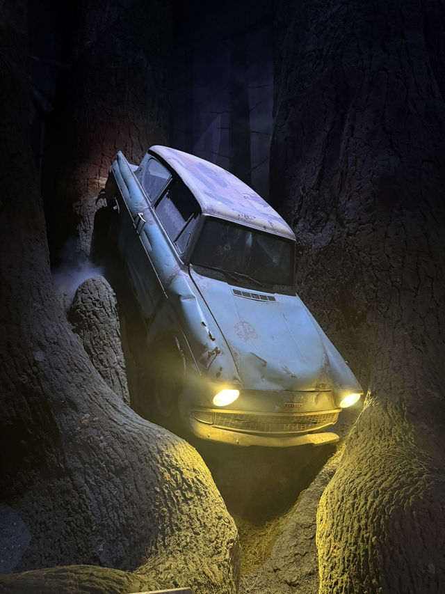 Into the Shadows: The Forbidden Forest