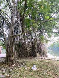  My Favourite Day Out in Cyberjaya! 