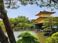 Kinkaku-ji: Kyoto’s Radiant Golden Temple