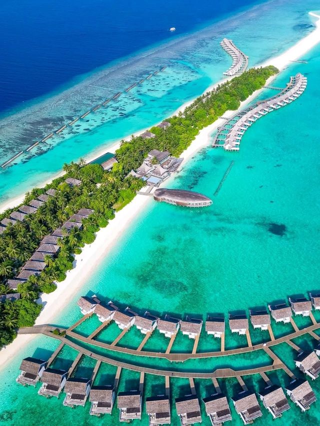 🌊 Conrad Maldives Rangali Island: Dive into Unparalleled Luxury Beneath the Waves 🐠